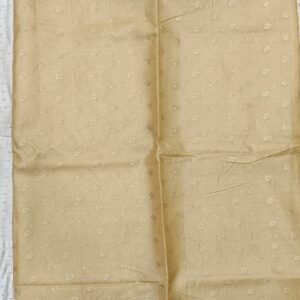 Sand and black chhattisgarh tussar silk saree with blouse