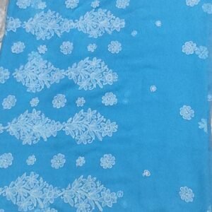 Sky lucknow chikankari Georgette saree with blouse
