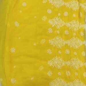 Yellow lucknow chikankari Georgette saree with blouse