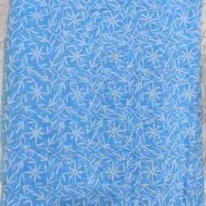 Sky lucknow chikankari Georgette saree with blouse